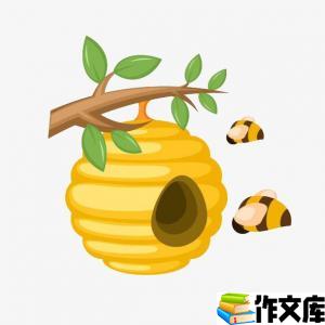 除蜂窝