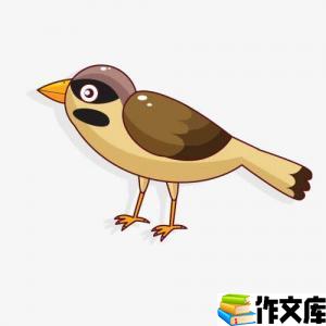 抓麻雀