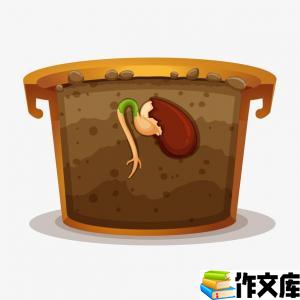 土地与种子