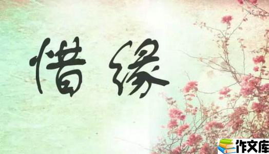 珍惜缘分才是随缘