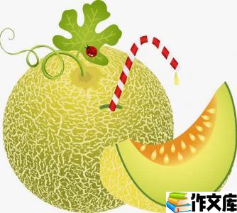 美味的哈密瓜