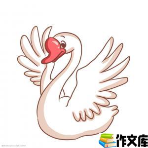 美丽的天鹅