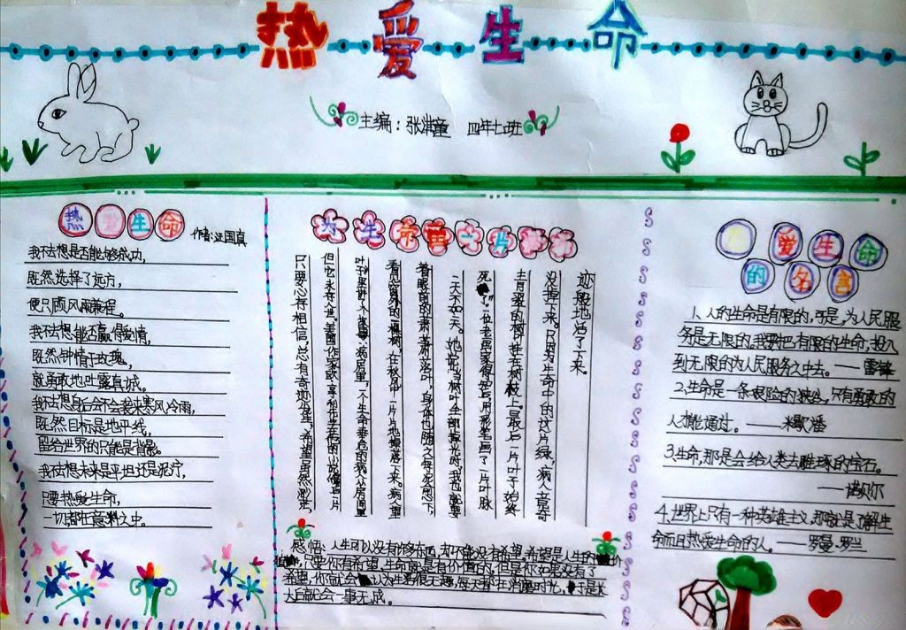 感悟生命手抄报图片展示