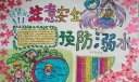 注意安全预防溺水手抄报，生命的启示