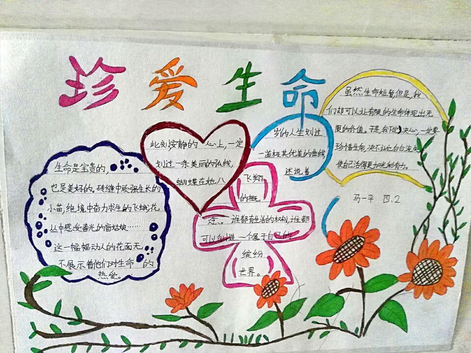 热爱生命手抄报图片大全