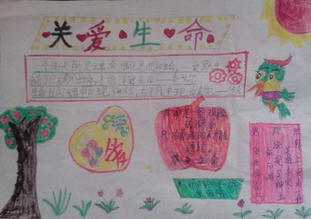 珍爱生命手抄小报图片