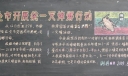 灭蟑螂黑板报图片