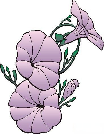 （组图）第十组漂亮简单的黑板报花朵类插图欣赏