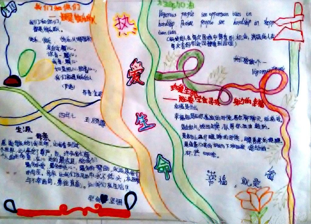 感悟生命手抄报图片展示