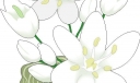 白色花朵插图