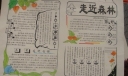 走近森林防火手抄报作品欣赏