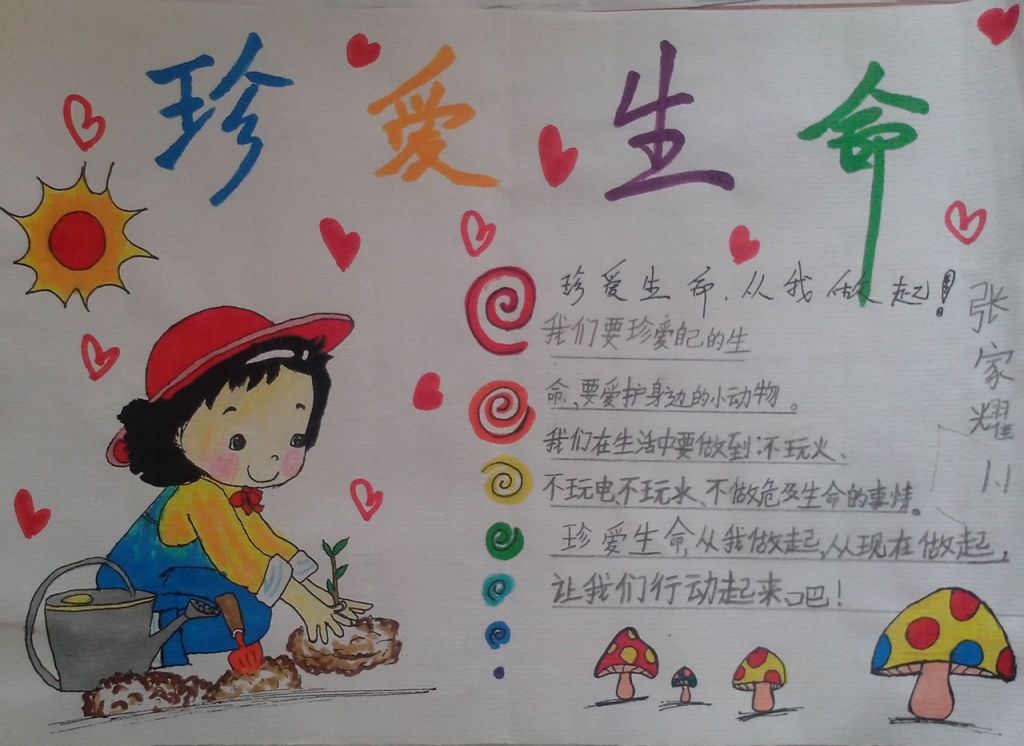 珍爱生命手抄小报图片
