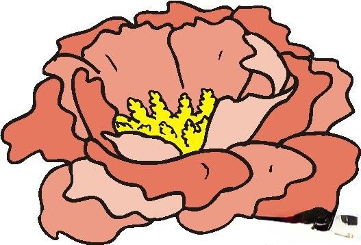第十五组适合办电子板报的花朵类插图