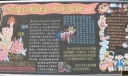 “计划生育”主题宣传板报：构建和谐社会和谐家庭