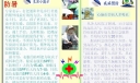 夏季高温防暑板报：预防疾病|生活小提示：心脑血管病人多喝水