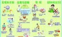 h7n9禽流感手抄报素材