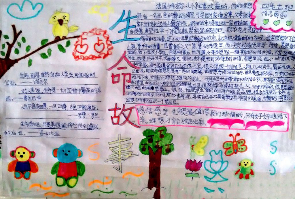 感悟生命手抄报图片展示