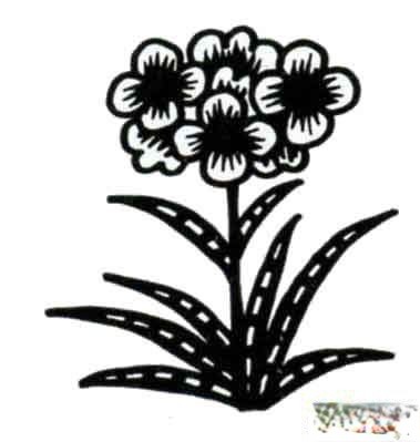 第三组花植物之花类小插图 共五张