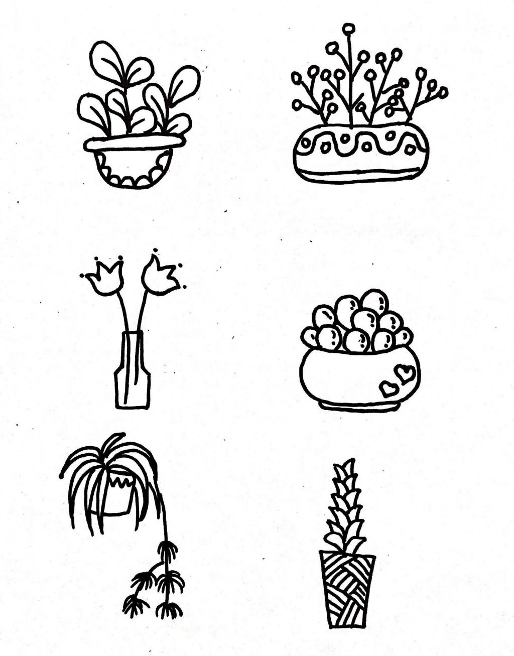 盆栽植物花盆简笔画，手抄报、手账都可以用！ ?
