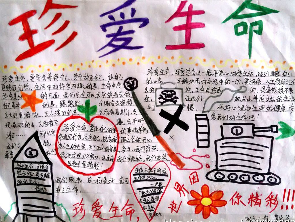 感悟生命手抄报图片展示