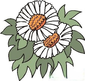 花朵小插图[第21组]