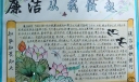 六年级廉洁手抄报版面图