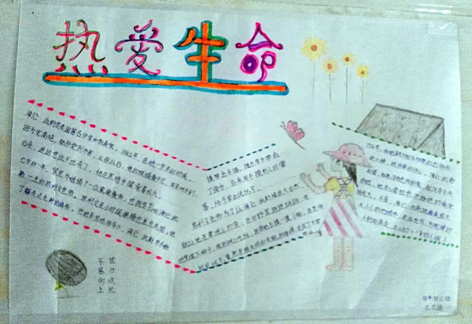 热爱生命手抄报图片大全