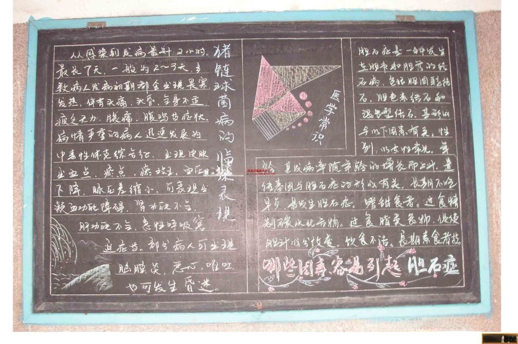 社区板报实例：医学常识，司机服用哪些药影响开车|哪些因素容易引起胆结石