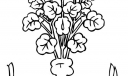 板报植物插图第4组-7.27发布