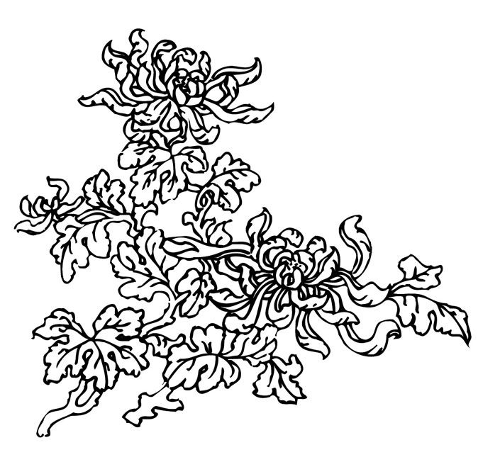 花草插画第3组-7月26日zuowenku.net发布