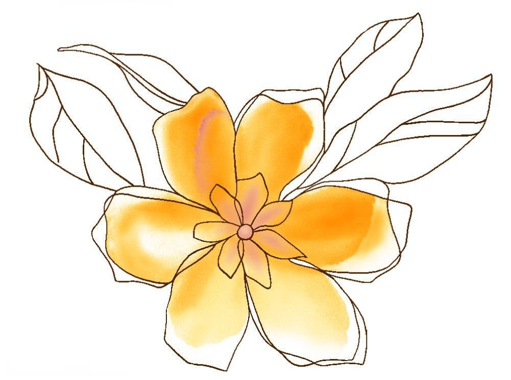 花朵素材插图大全