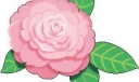 黑板报花朵类精美插图23