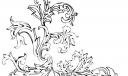 黑白花草插画第一组