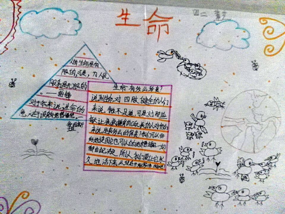 热爱生命手抄报图片大全