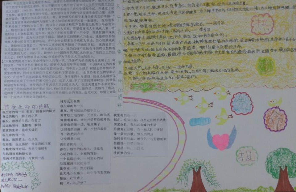 热爱生命手抄报内容