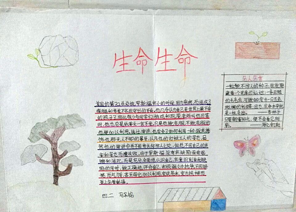 热爱生命手抄报图片大全