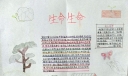 热爱生命手抄报图片大全