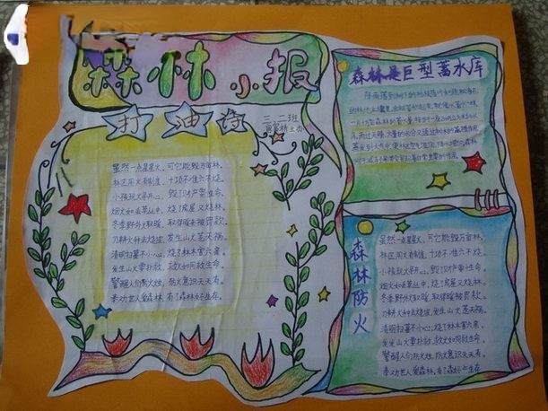 森林小报作品设计图