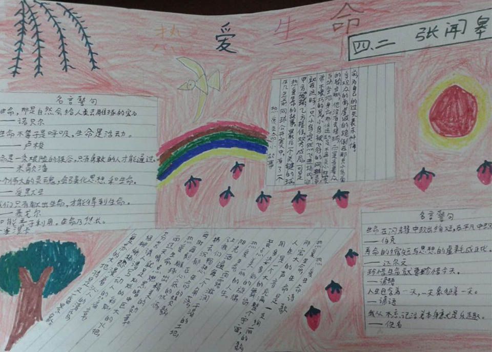 热爱生命手抄报内容