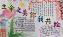 生命之美你我共绘手抄报，有生命才能追梦