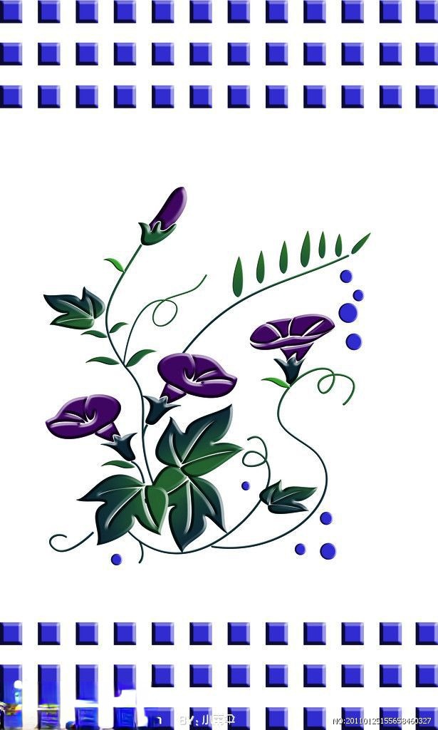 牵牛花插图