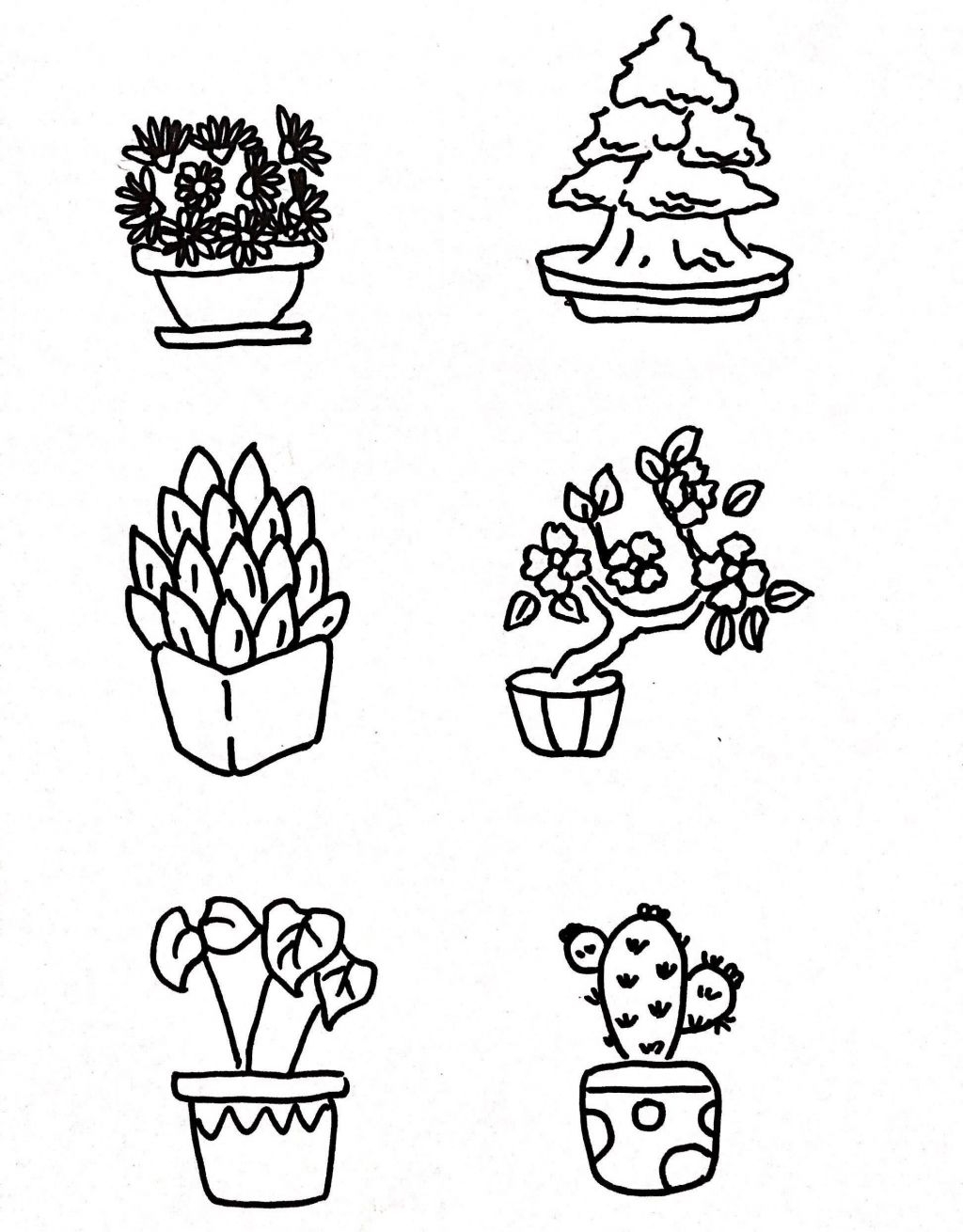 盆栽植物花盆简笔画，手抄报、手账都可以用！ ?