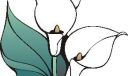 第十二组黑板报花朵类插图欣赏_共八张