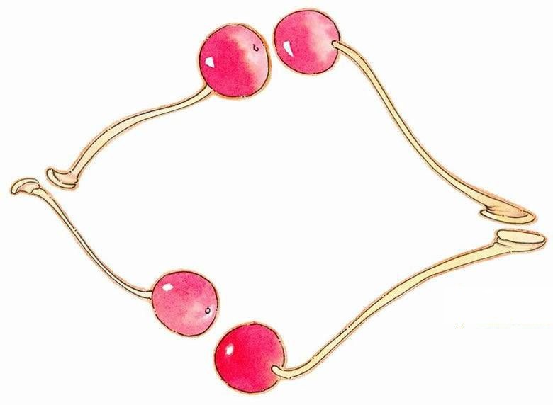 超可爱樱桃边框 超可爱樱桃边框