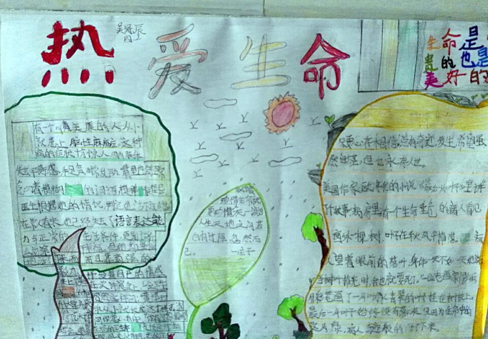 热爱生命手抄报图片大全