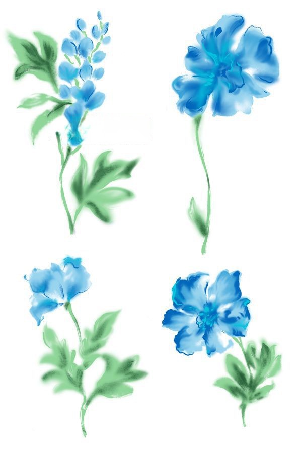 花朵素材大全