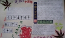 中国传统文化中国结手抄报图片及内容资料