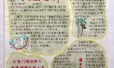 反腐倡廉小报：正气报