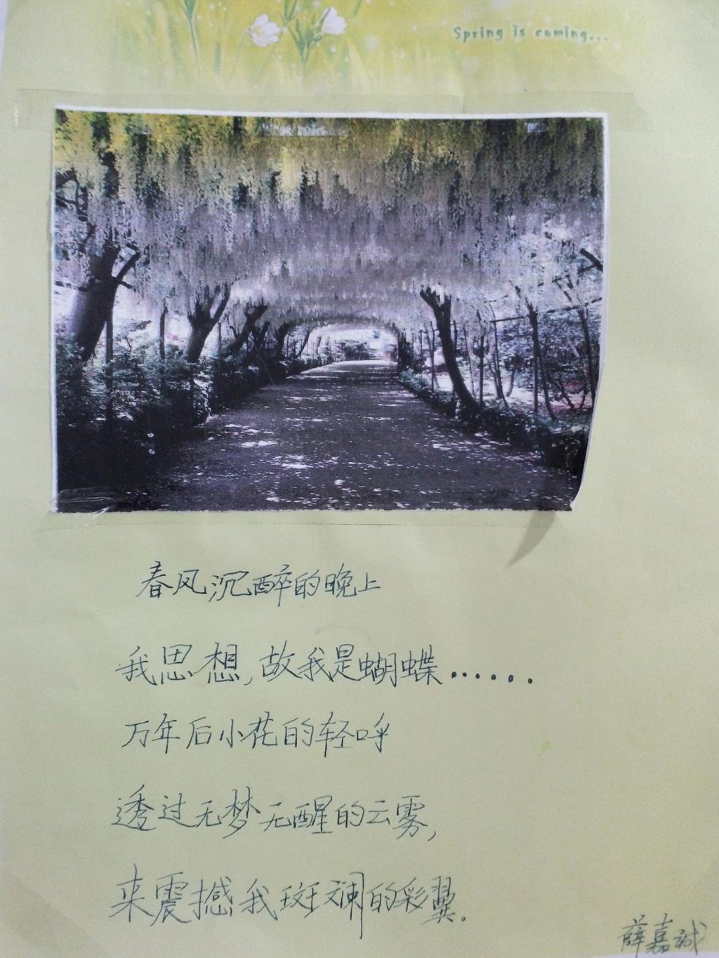 走进古诗领略四季手抄报