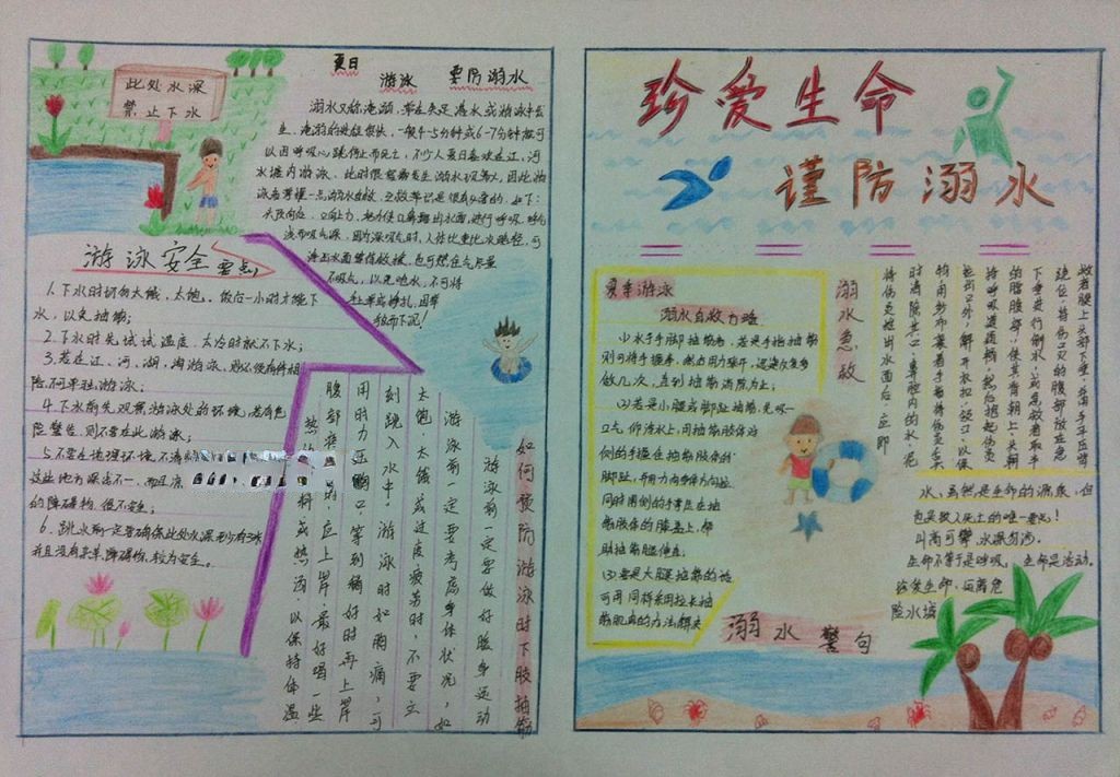 生命的启示手抄报 生命的启示手抄报